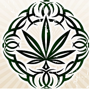 Cannabis2