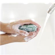 wash hands